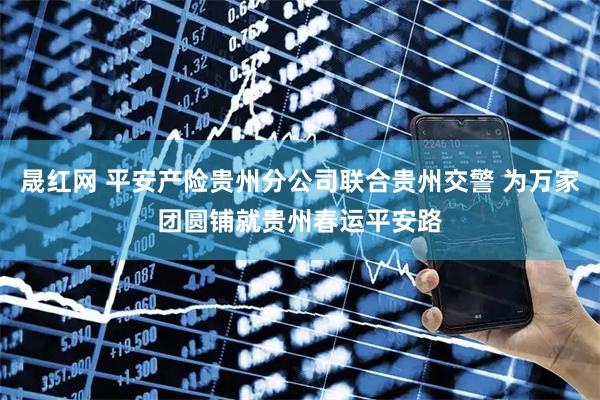 晟红网 平安产险贵州分公司联合贵州交警 为万家团圆铺就贵州春运平安路