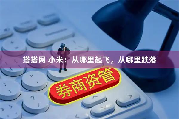 搭搭网 小米：从哪里起飞，从哪里跌落