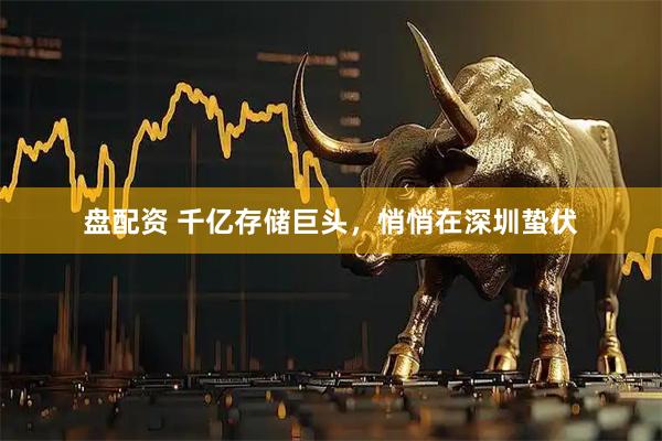 盘配资 千亿存储巨头，悄悄在深圳蛰伏